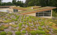 green roofs