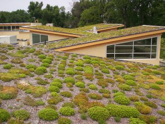 green roofs