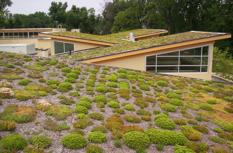 green roofs