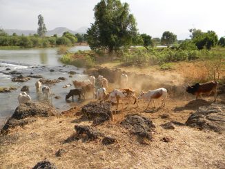 Omo Valley