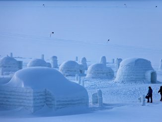 inuits