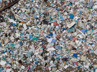 plastic island