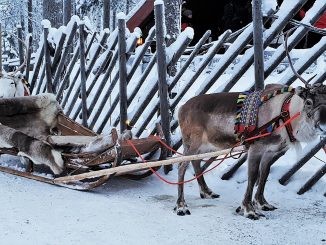 sami peoples