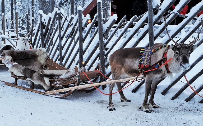 sami peoples