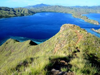 island of komodo