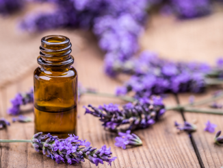 Lavender Essential Oils