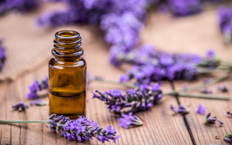 Lavender Essential Oils