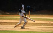 understanding cricket