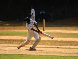 understanding cricket