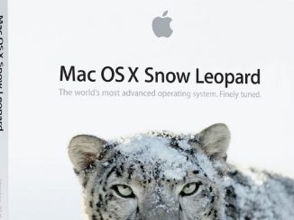 snow leopard