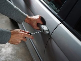 types of car theft