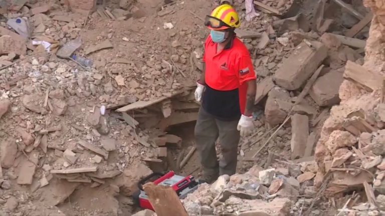 Beirut explosion survivor