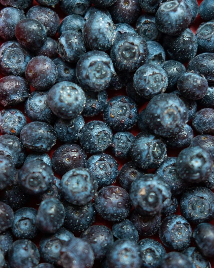 blueberries 720x900