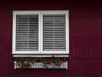 choosing window blinds or shutters