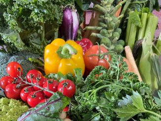 fresh food delivery 2