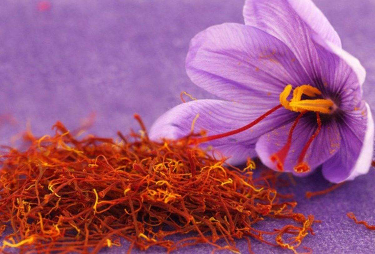 the-top-11-of-the-most-expensive-foods-in-the-world-newshub-co-uk