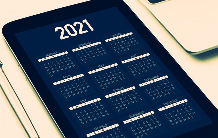 Calendar 2021 palindrome dates