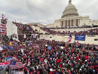 trump mob undermine democracy