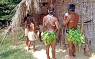 amazon indians