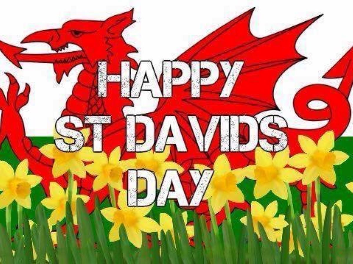 Saint David'S Day 2024 Seka Wandie