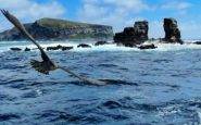 Off the Galapagos: the collapse of Darwins Arch