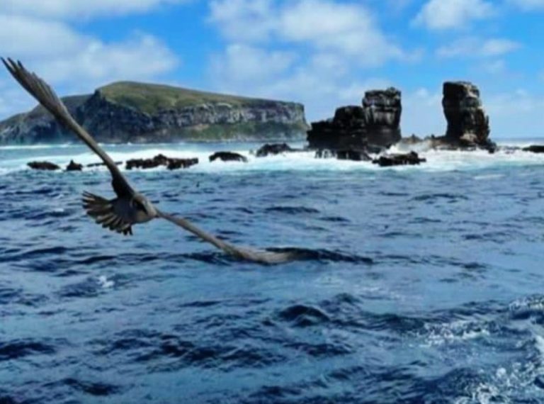 Off the Galapagos- Darwin’s Arch collapse