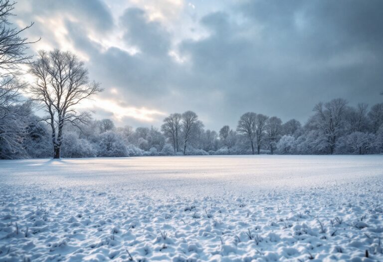 Football match affected by Storm Bert in Scotland