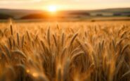 Declining agricultural assets in Scotland's landscape