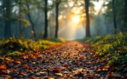 Runner completing a 100-mile race for Alzheimer's charity