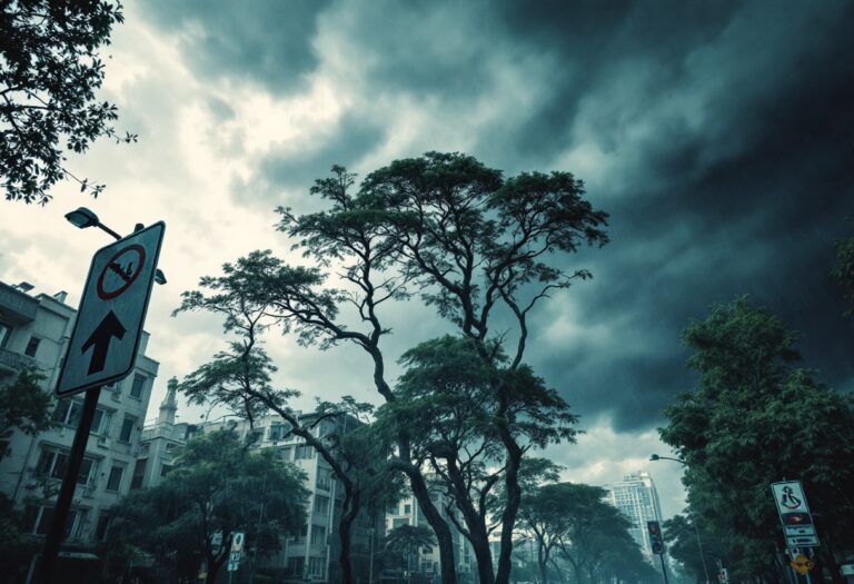 Immagine di tempesta Eowyn con avvisi meteo severi