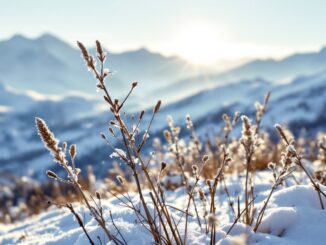 Snowfall in Britain due to Arctic blast weather