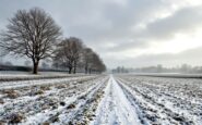 Forecast of snow and ice in the UK during cold weather
