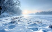 Forecast of severe winter storm in New England