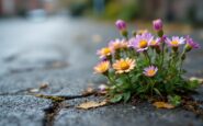 Older women in Scotland receiving support and care