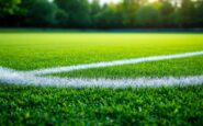 Skye Camanachd club facing challenges after manager leaves