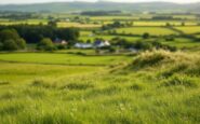Beautiful Orkney farm featuring a private beach