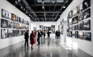 A stunning photograph featured in the reader's gallery