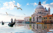 1600x900 venezia san marco gabbiano