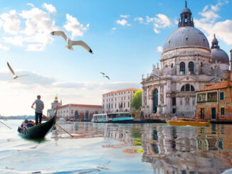 1600x900 venezia san marco gabbiano