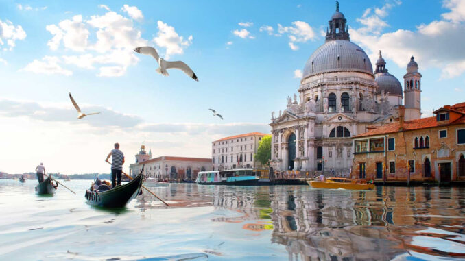 1600x900 venezia san marco gabbiano