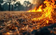 Fire emergency response near Kings Links Golf Course in Aberdeen