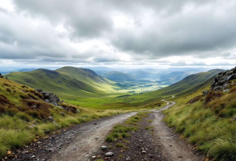 Consultants empowering businesses in the Highlands