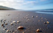 Ricerche in corso per persona scomparsa a Lossiemouth