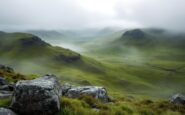 Image depicting the mystery surrounding Willie McRae's death
