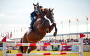 coyle triumphs at ottawa show jumping event with a remarkable performance python 1755283780