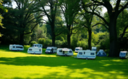 illegal encampment in north london park raises community concerns python 1755827947