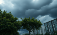 what you need to know about thunderstorm asthma and its risks python 1754663547