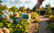 maximize your hydrangea blooms with these expert tips python 1757034865