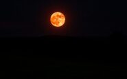 spectacular blood moon lunar eclipse visible in the uk this sunday python 1757196734
