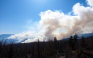 understanding the far reaching impact of wildfires on air quality python 1757056716